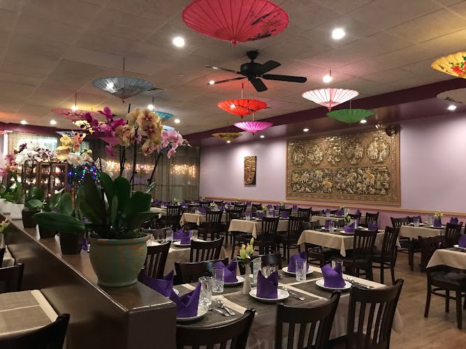 Royal Orchid